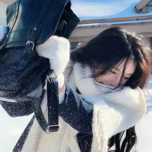 义胆骑士
